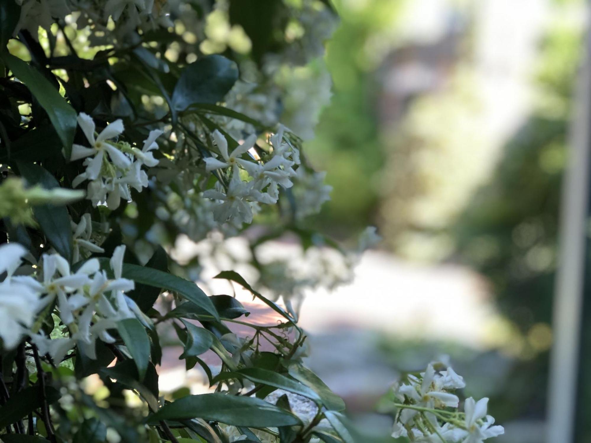Aux Herbes Hautes Fleurbaix Dış mekan fotoğraf